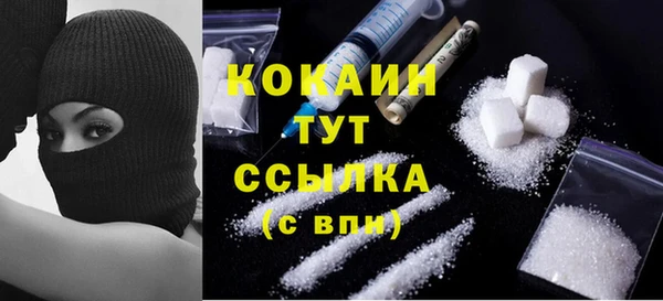 индика Горно-Алтайск