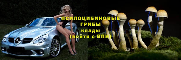 ECSTASY Горнозаводск