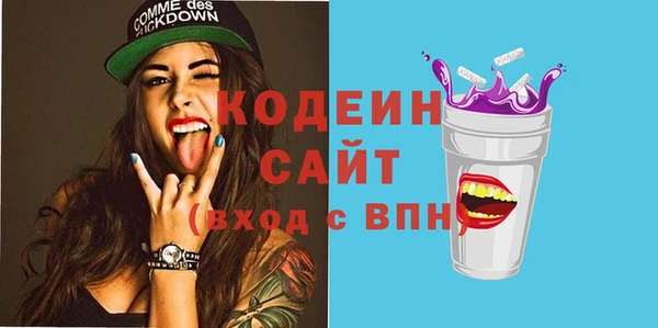индика Горно-Алтайск