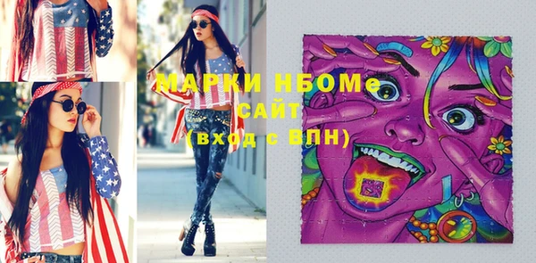 индика Горно-Алтайск