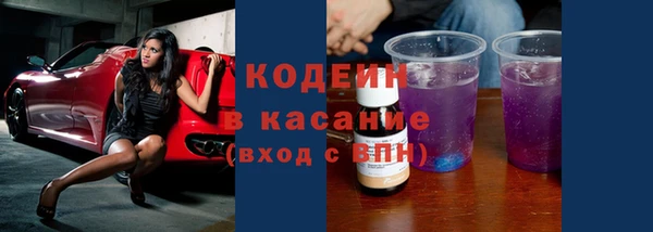 индика Горно-Алтайск