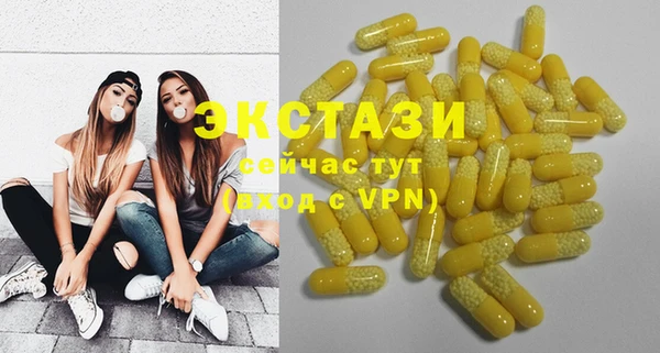 индика Горно-Алтайск