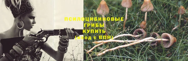 ECSTASY Горнозаводск