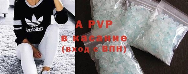 индика Горно-Алтайск