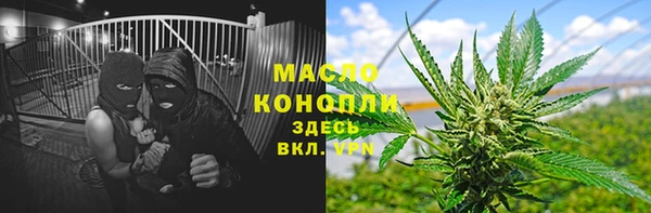 индика Горно-Алтайск