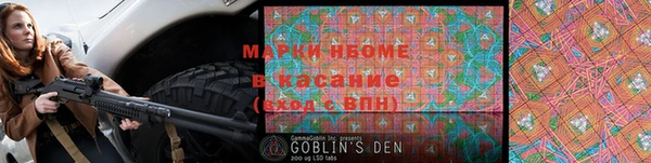 индика Горно-Алтайск