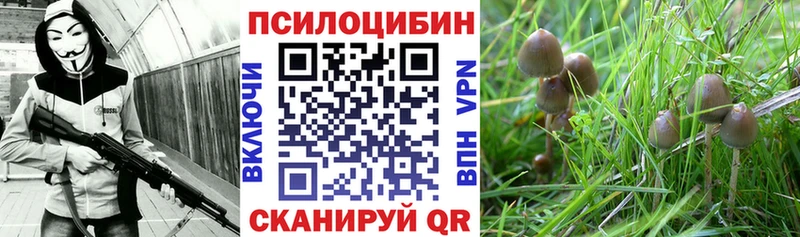 Галлюциногенные грибы прущие грибы  Екатеринбург 